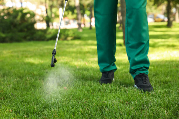 Reliable Rockville, MN Pest Control Solutions