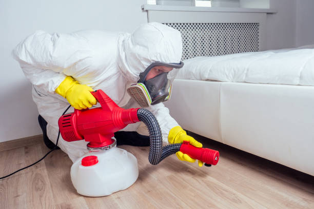 Best Best Pest Control Near Me  in Rockville, MN