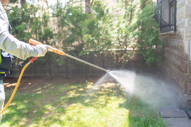 Best Flea Control Services  in Rockville, MN