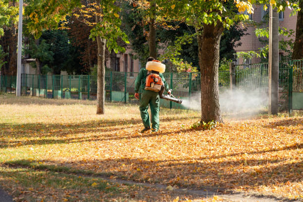 Best Bed Bug Extermination  in Rockville, MN