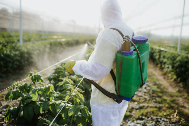 Best Cockroach Control Services  in Rockville, MN